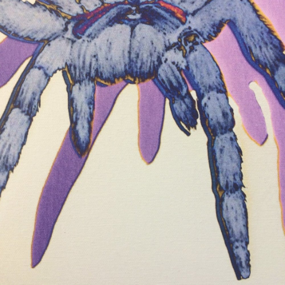 Tarantula - Original Wall Art print on 12 x 12 canvas - Picture 5 of 6